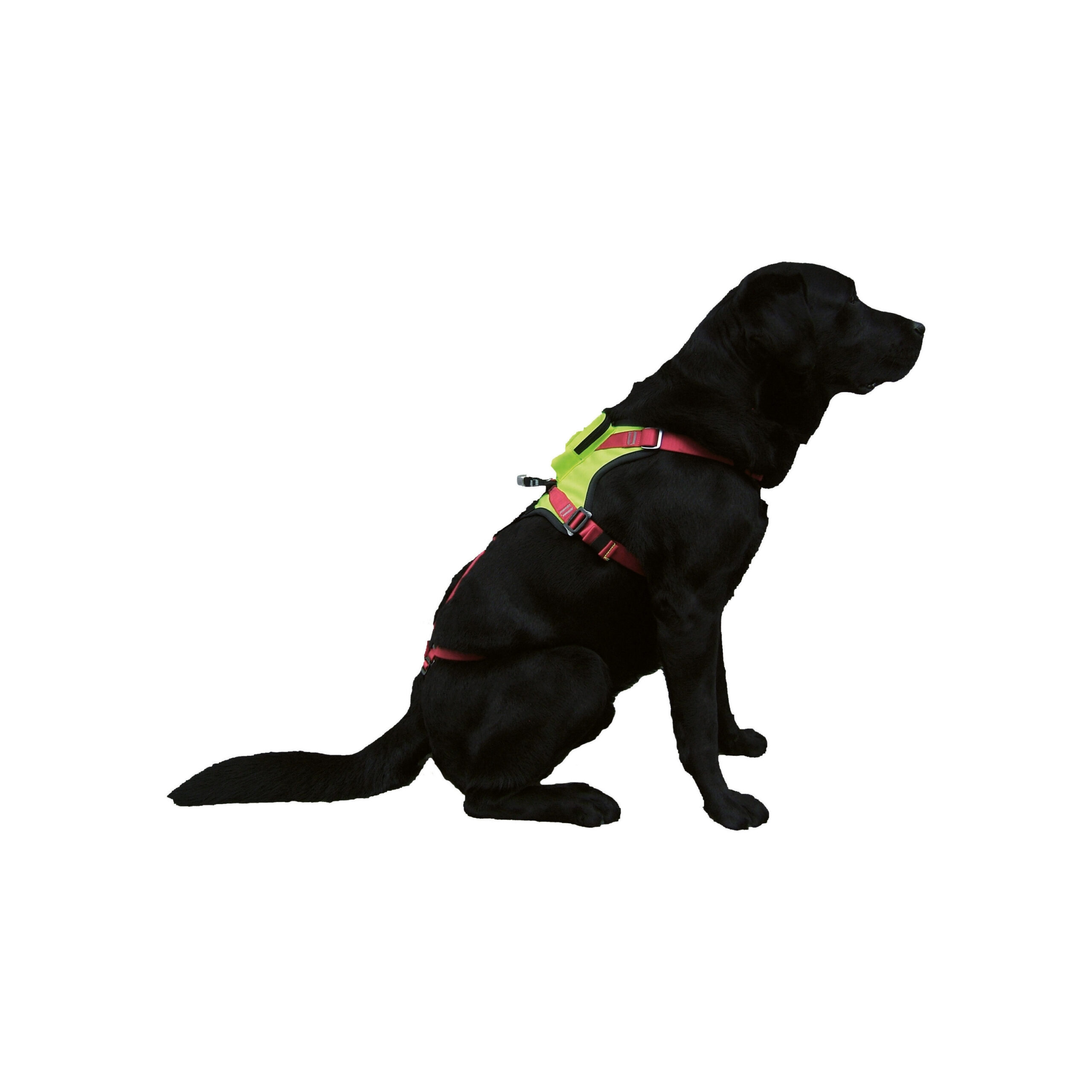 CAMP kronos köpek emniyet kemeri arama kurtarma k9 dog harness